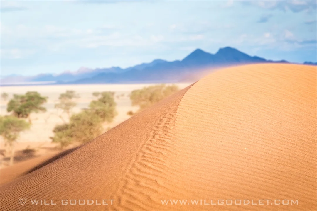 Namibrand Nature Reserve, dunescape
