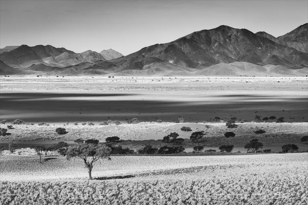Namibrand nature reserve, Namibia.