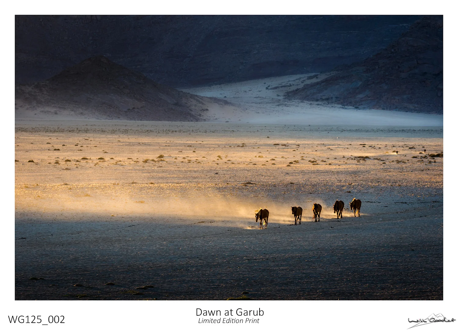 Fine art print - Dawn at Garub (Limited to 125)