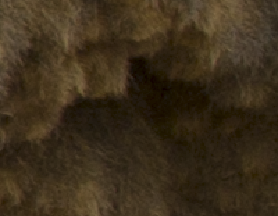 detail - exposed to the right at capture