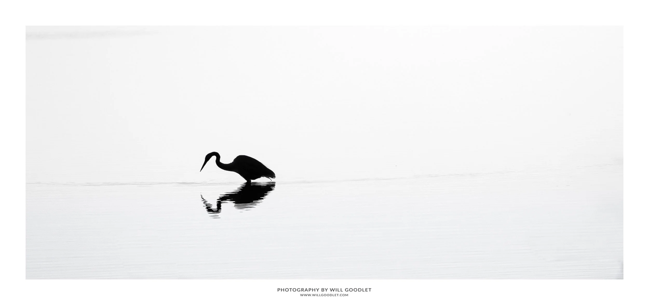 _G7D3372-Edit-Edit-Shp.jpg