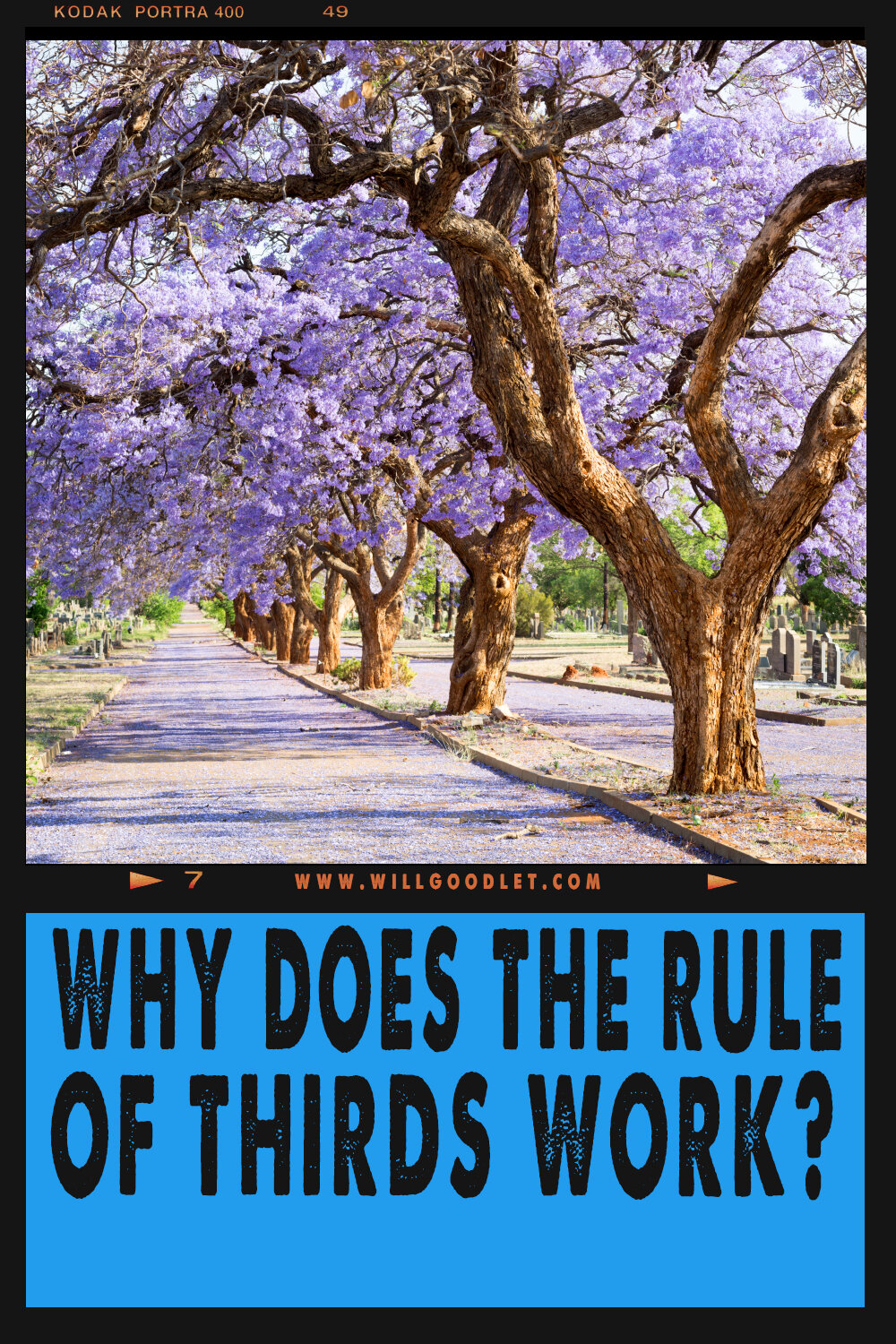 Why does the rule of thirds work?