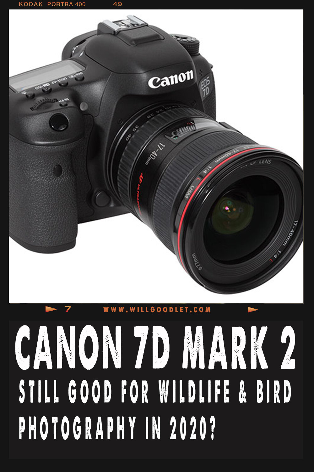 Is The 7D Mark ii Still Relevant For Wildlife & Bird Photography?
