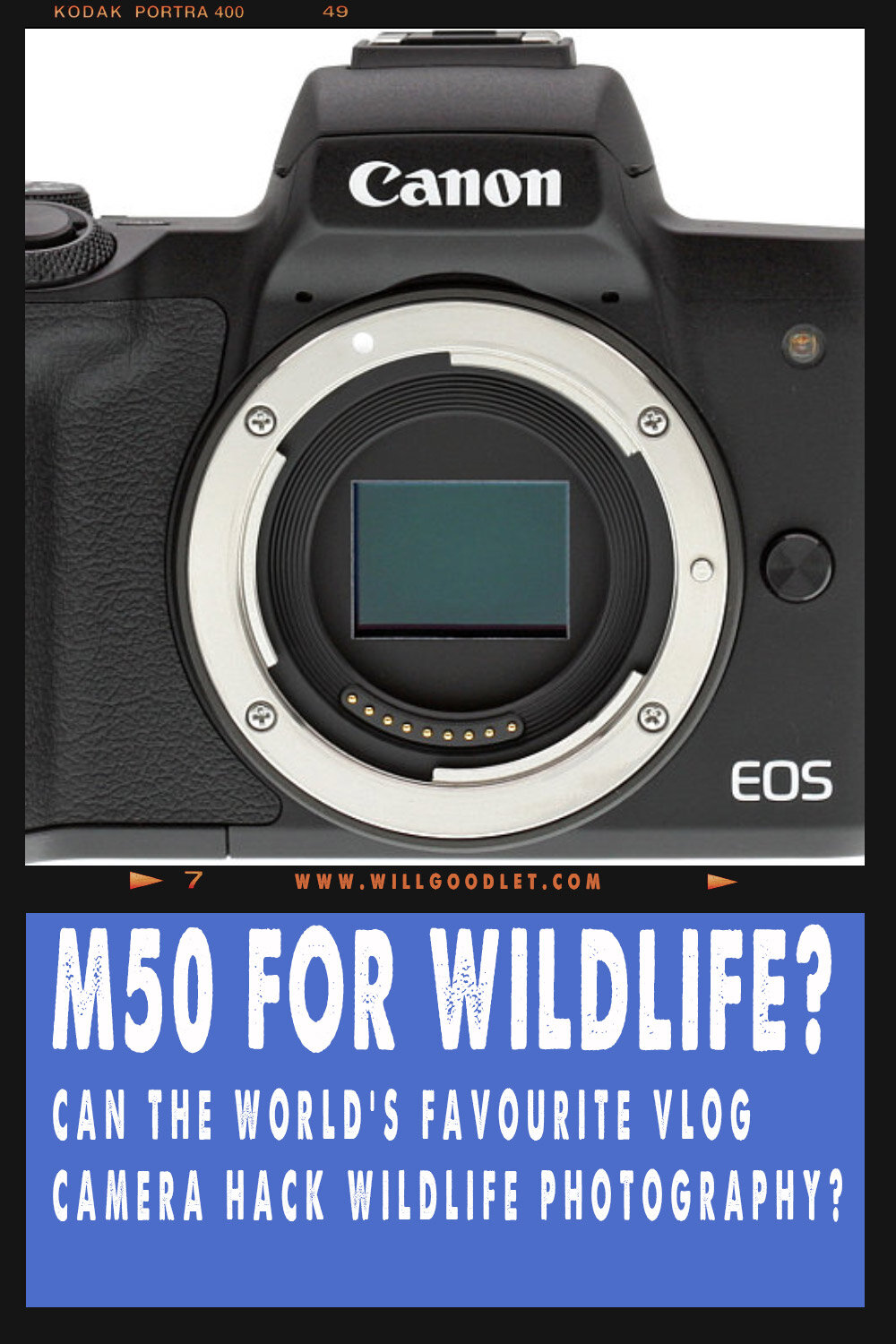 Is the Canon M50 a good camera for wildlife photography?