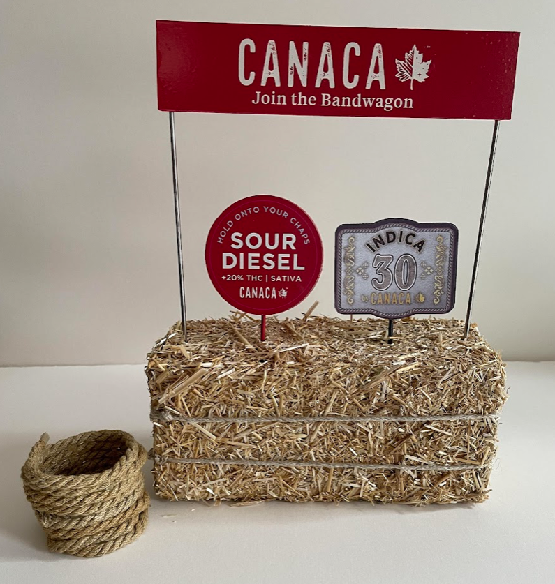 Screen Shot 2022-07-11 at 2.08.36 PM 2.PNG