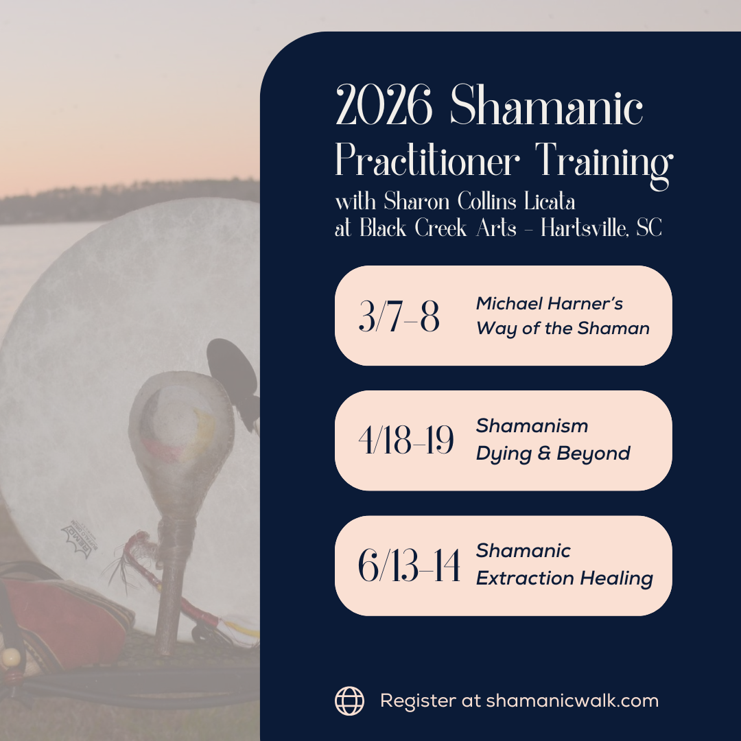 2026 Shamanic Practitioner Training with Sharon Collings Licata