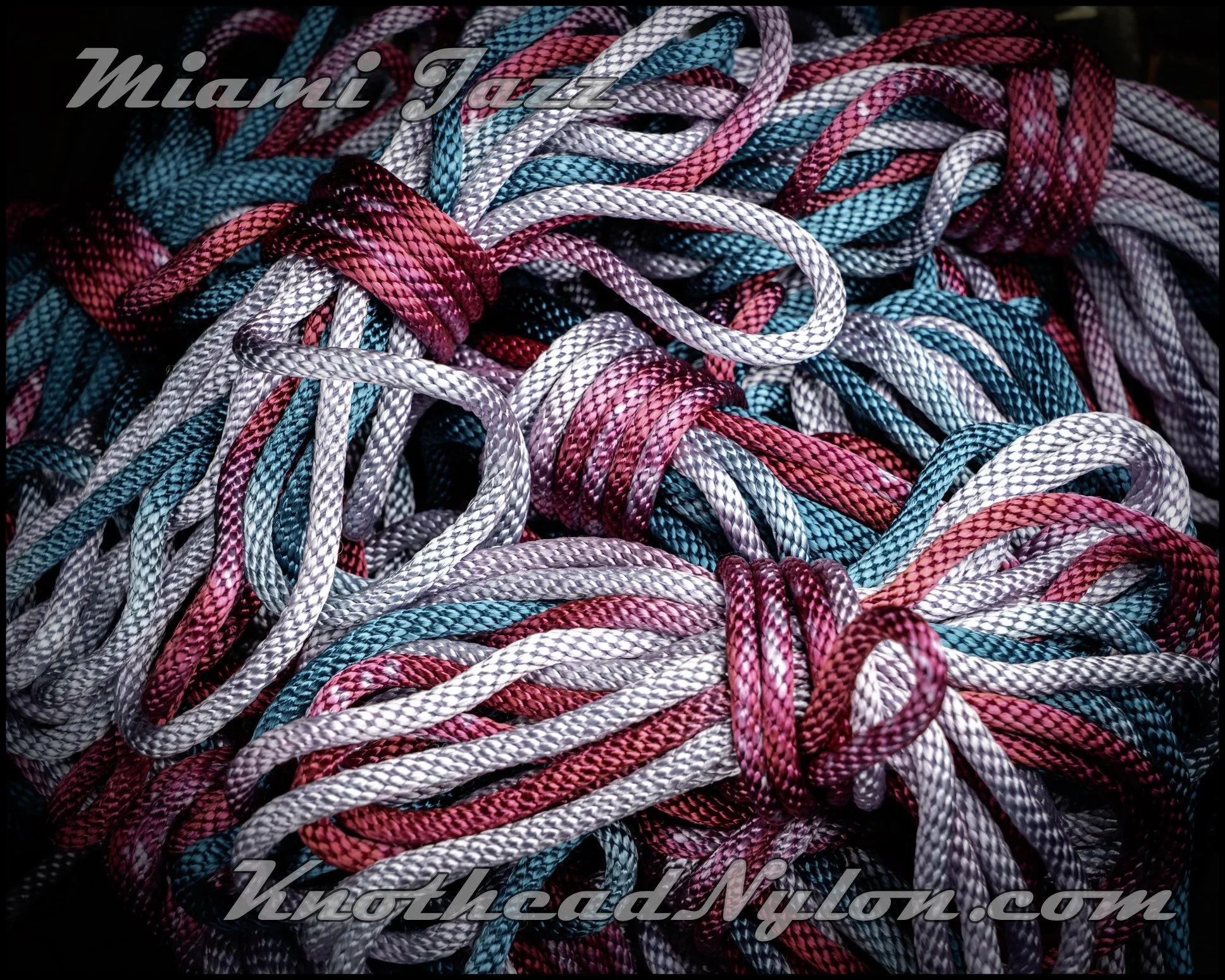 DSC09549 WMF.jpg (Copy)