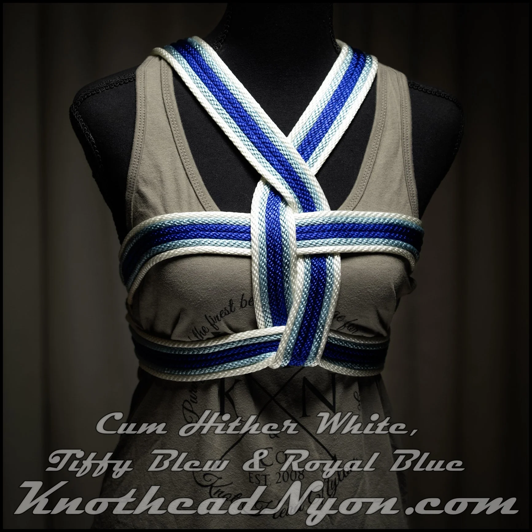 blue white tiffy (1 of 1).JPG