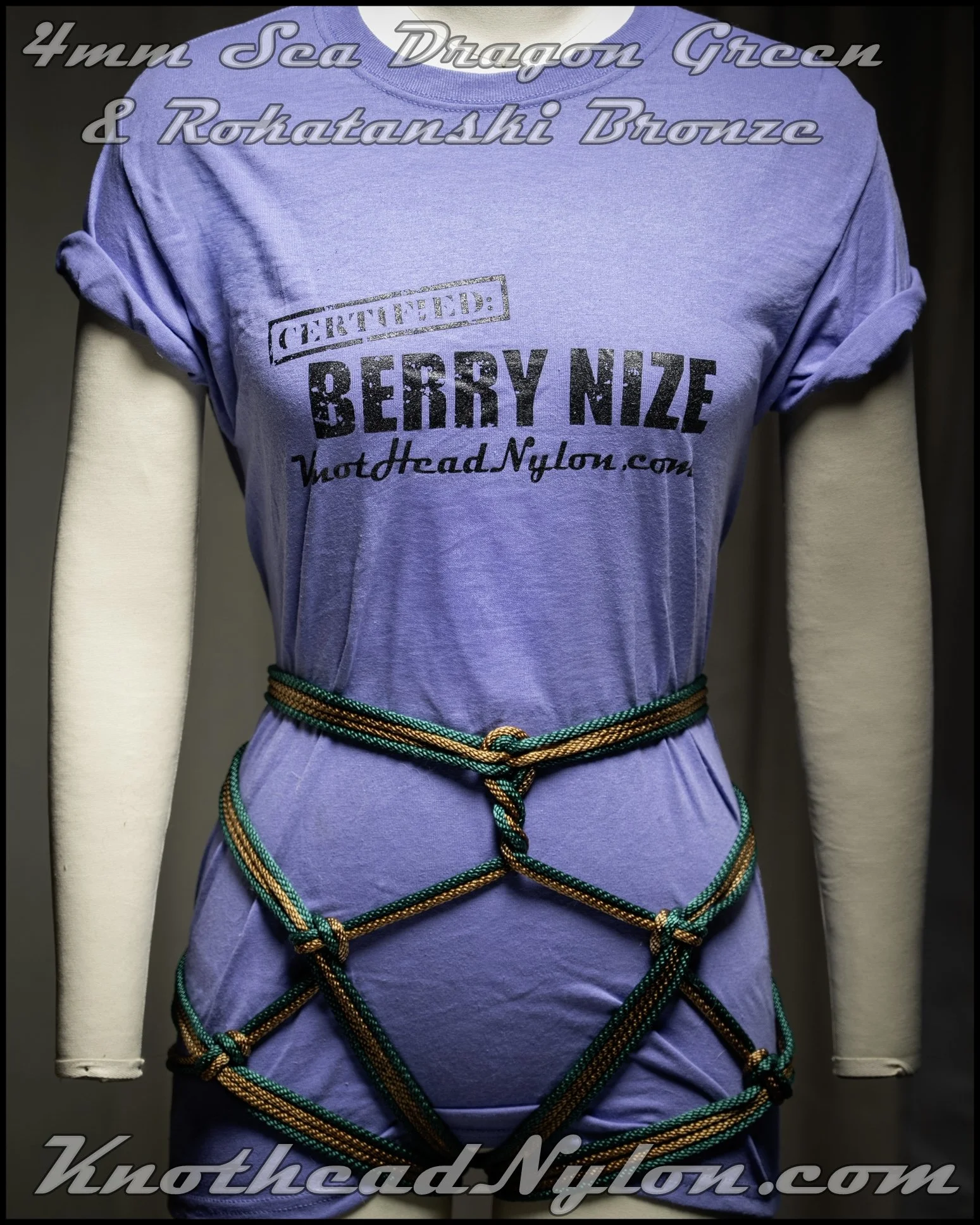 bronze sdg (1 of 1).JPG