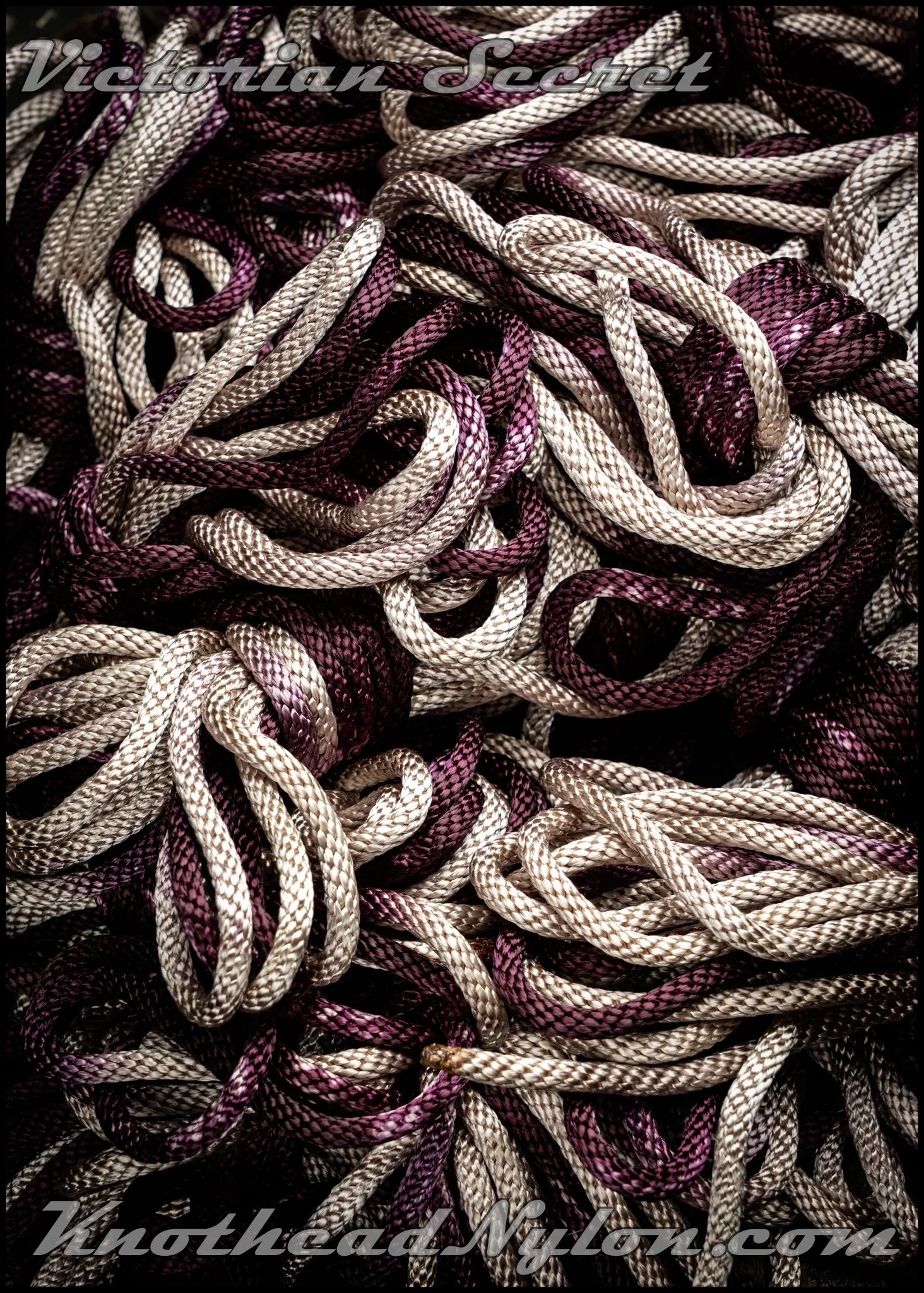 DSC09500 WMF.jpg (Copy)