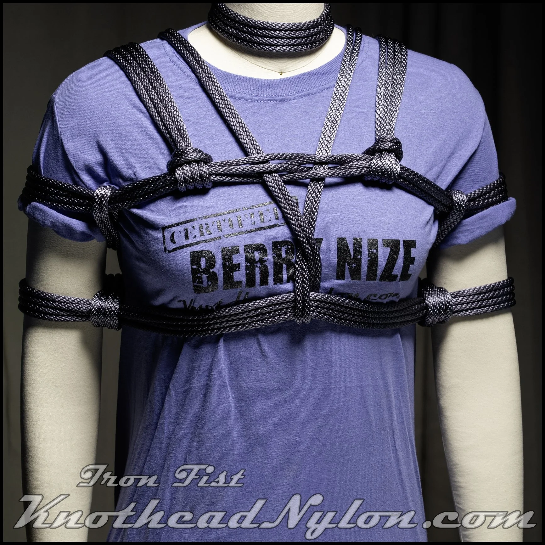 iron (1 of 1).JPG (Copy)