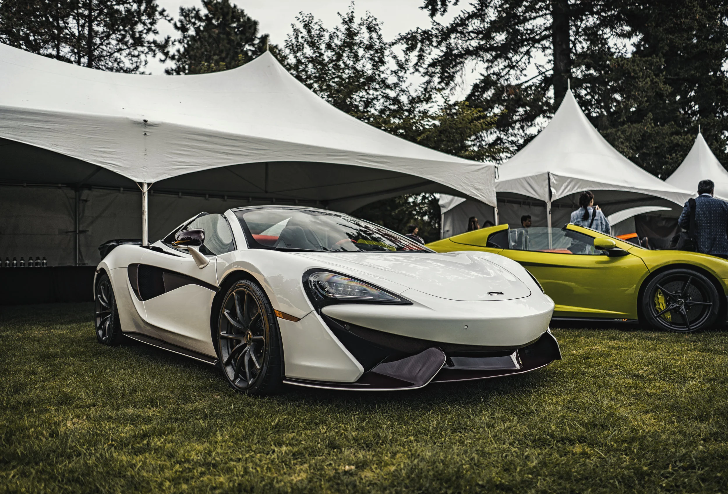 luxurysupercar_2018.1013.jpg