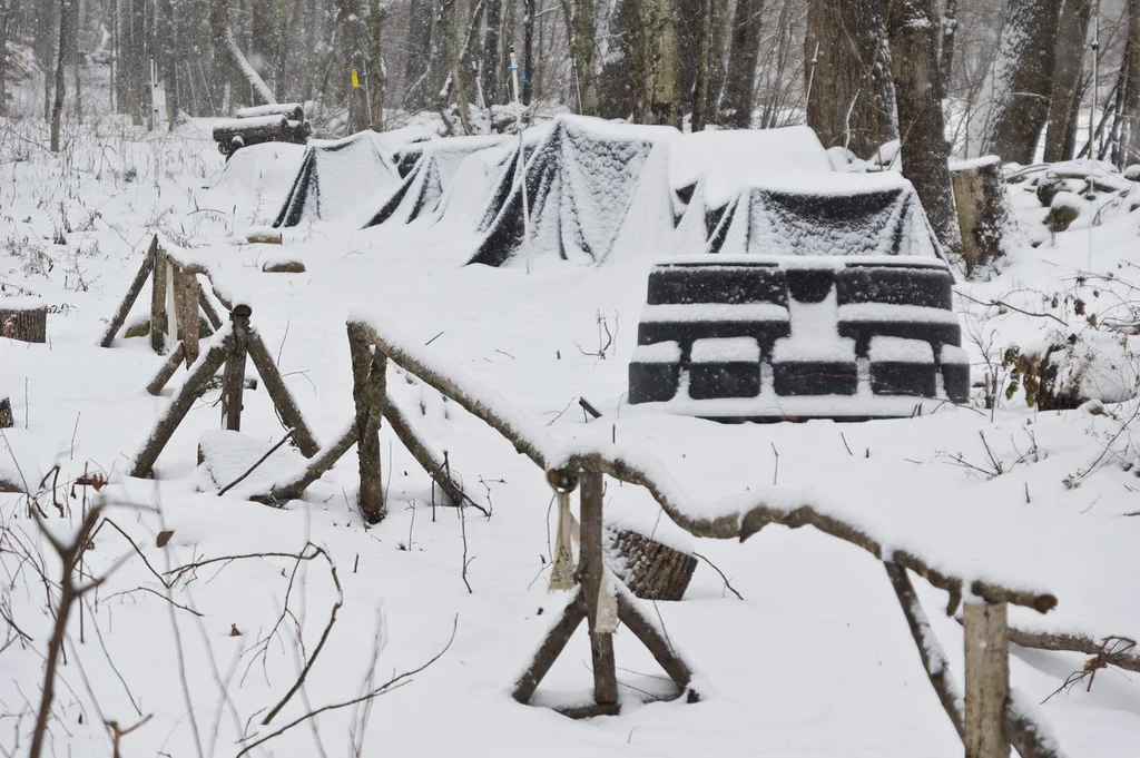 Shiitake mushroom log stacks covered under the snow. Photo by Adam Ford