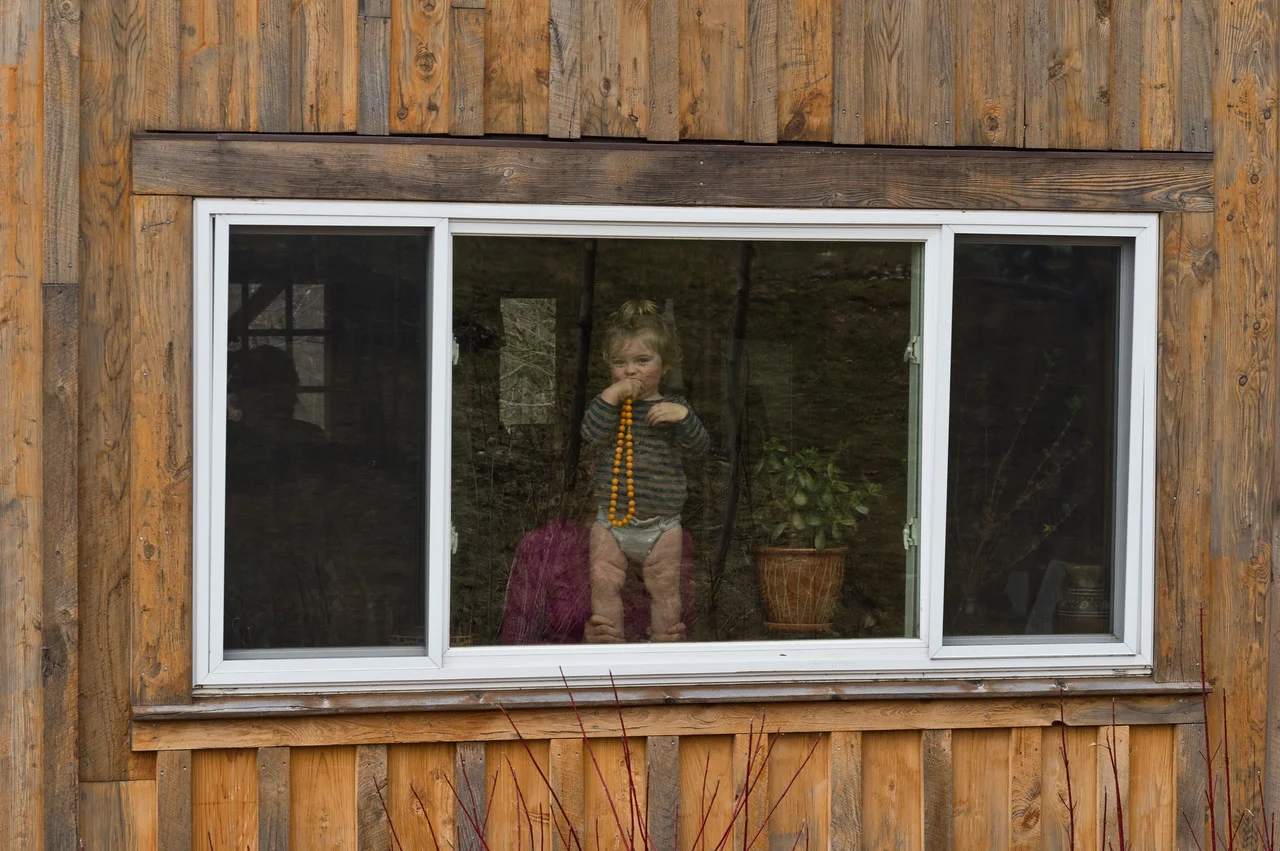 Sky always, always wants to be ourside! WHen it's too cold and sleety out, one of his favorite things is to climb up to the window to see what is going on outside. Don't worry, there is a hard to see Nonna in pink keeping him safe up there! photo by Adam Ford