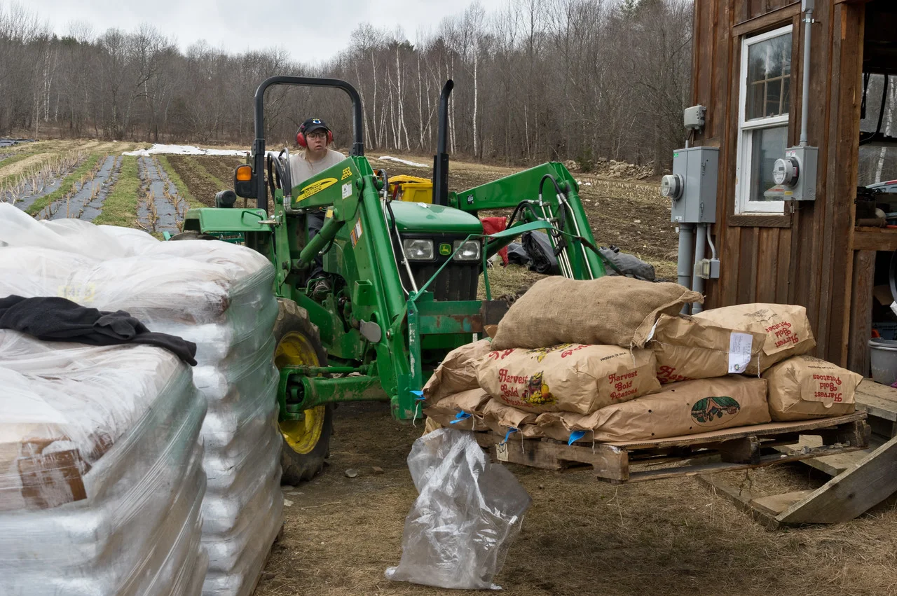 Morgan moving seed potatoes to the second floor of the barn to spread them out to green sprout them before we plant, photo by Adam Ford
