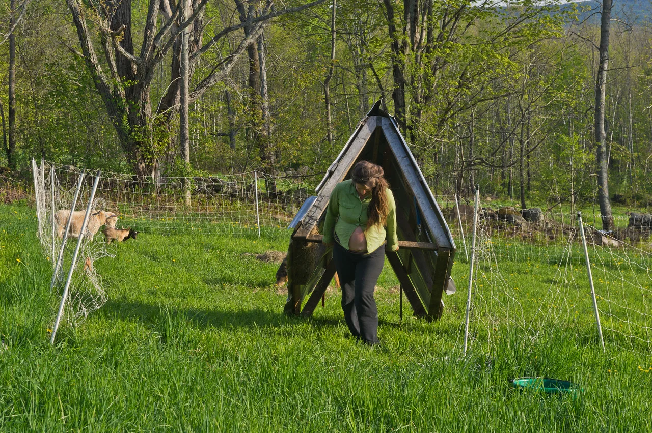 Just moving the goat hut to their new weekly pasture at 7 months pregnant... I can't believe they let her lift that much here! Photo by Adam Ford.
