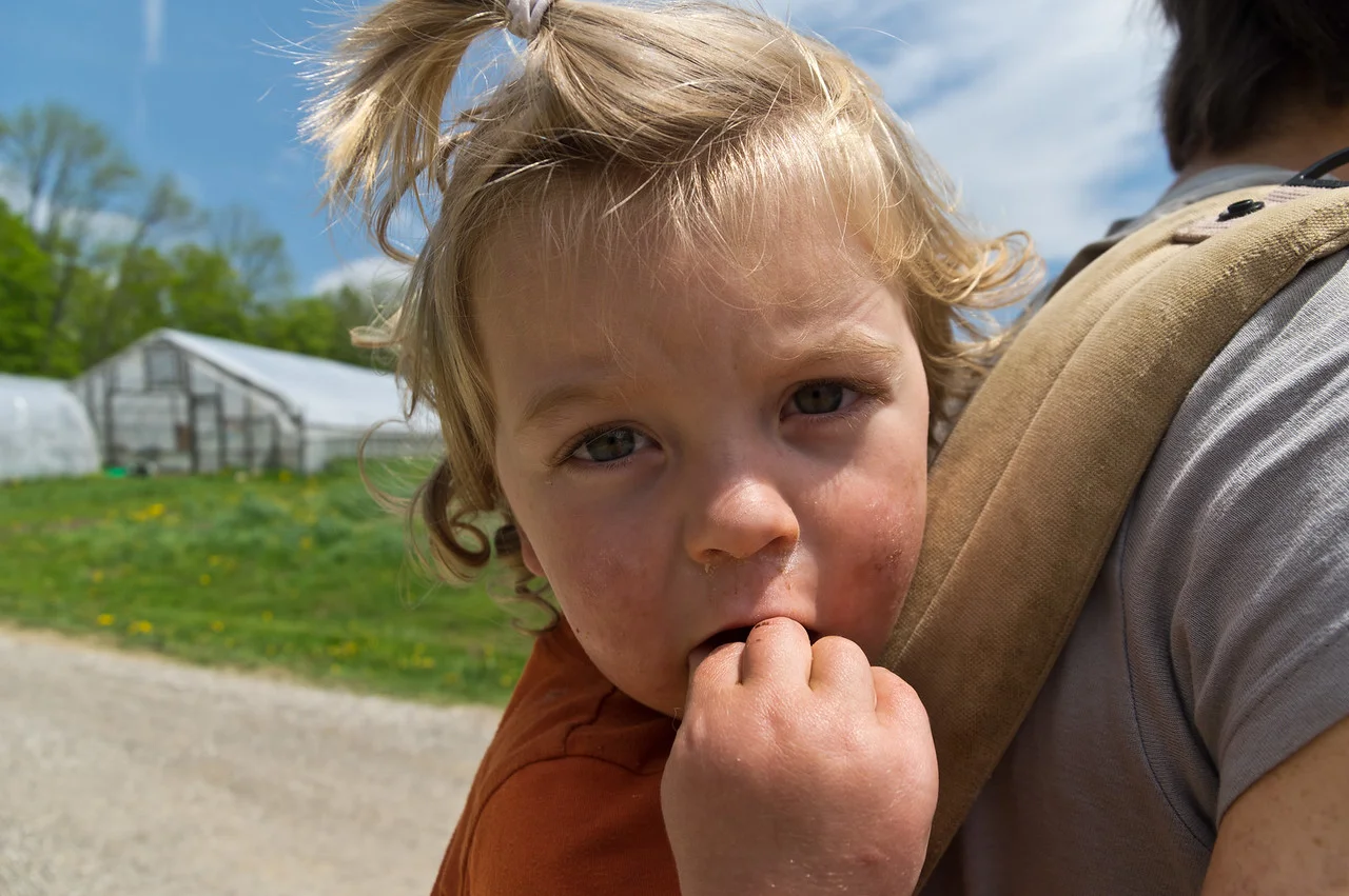 riding on Papa's back as he packs the van for market, photo by Adam Ford
