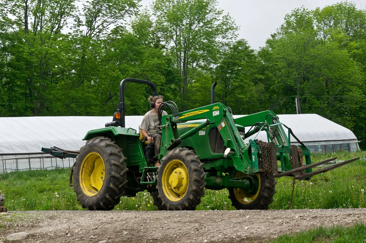 Instead of a close up of a pollinator on a blossom, please enjoy this excellent picture of Morgan driving the tractor... She is kind of like a pollinator, busily buzzing around the farm, tending to a zillion things before heading home to rest for the day, photo by Adam Ford