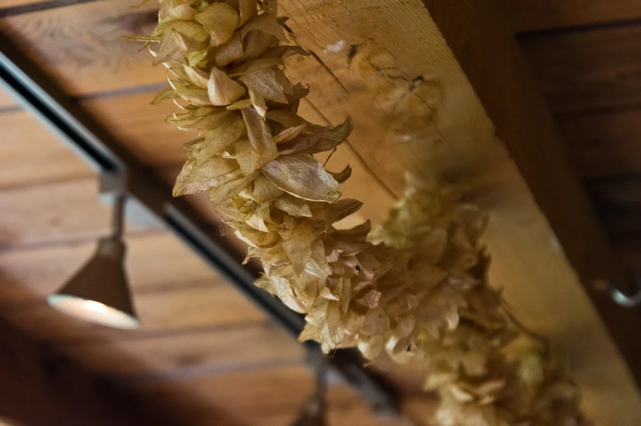 This is a garland made from dried tomatillo wrappers… this is how a farmer may decorate their kitchen, garland courtesy of Maya Zelkin, photo by Adam Ford