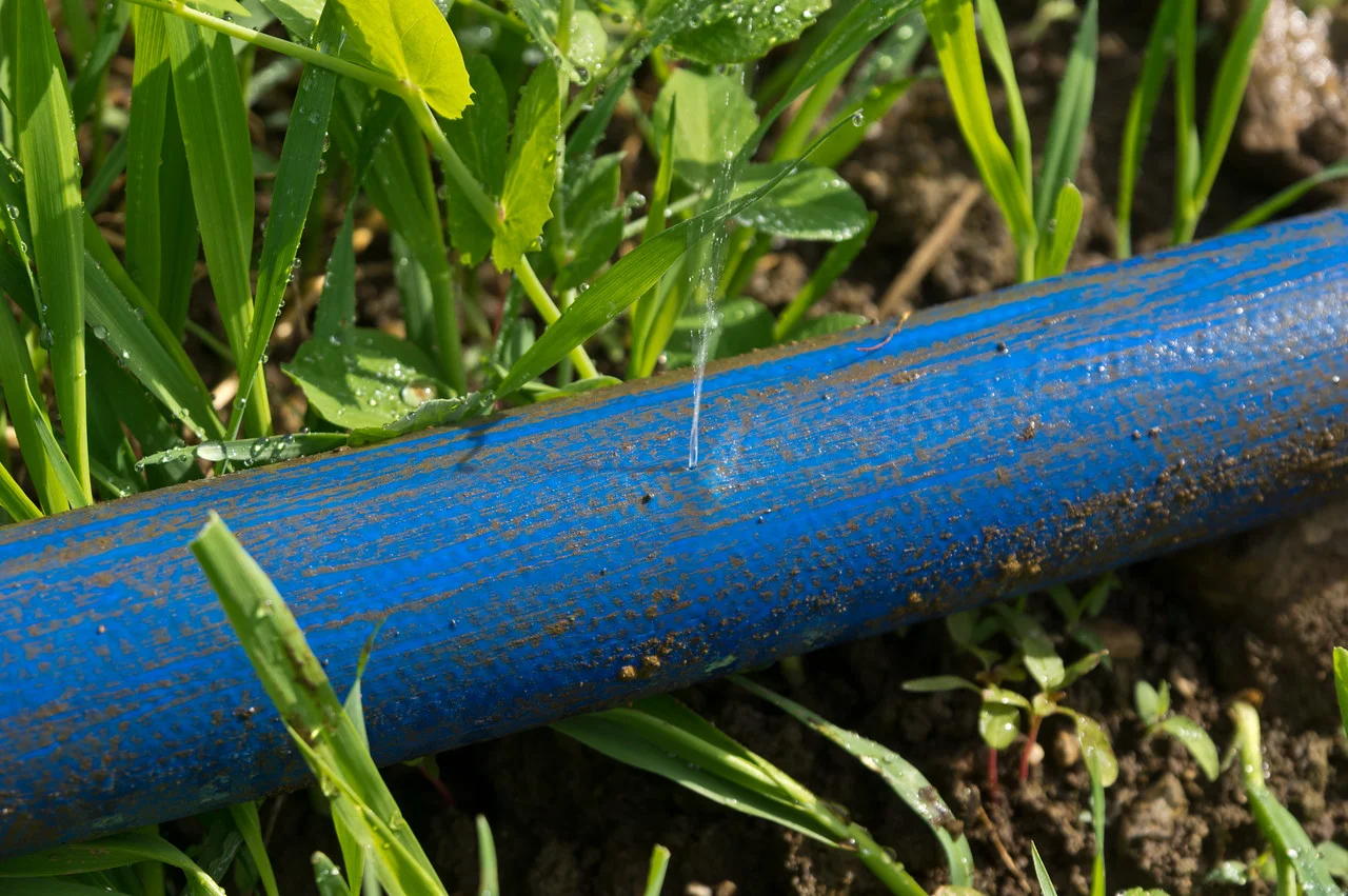 thanks to Adam’s sleuthing, now we know we gotta fix this irrigation line!