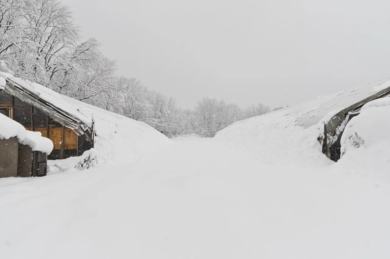 this is what the tunnels look like as they shed their snow before Ryan plows the snow away from the sides, photo by Adam Ford