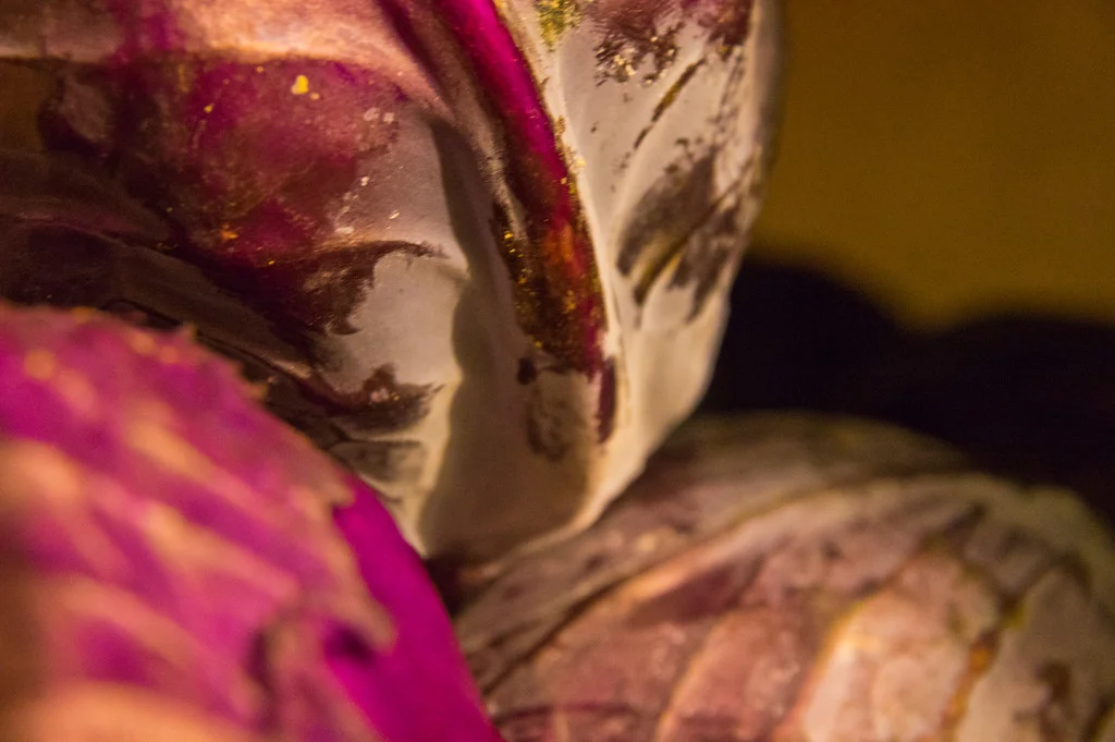 red cabbage, photo by Adam Ford