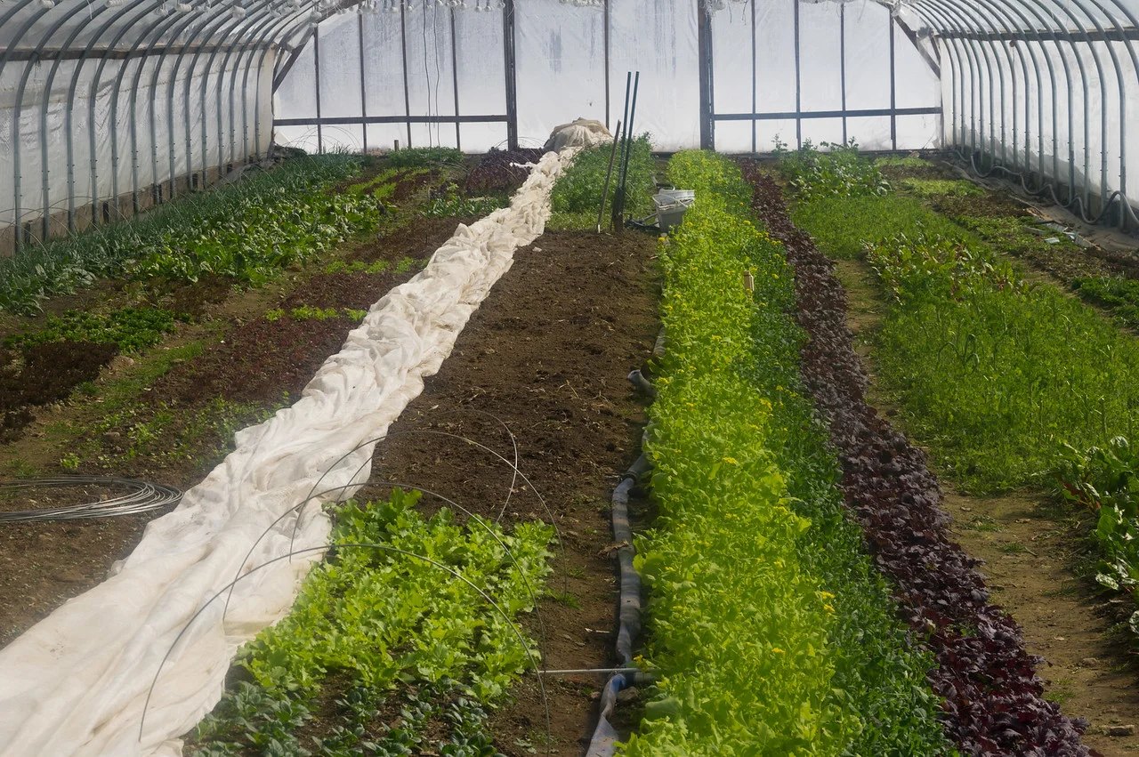 starting to transition some of the beds for spring! photo by Adam Ford
