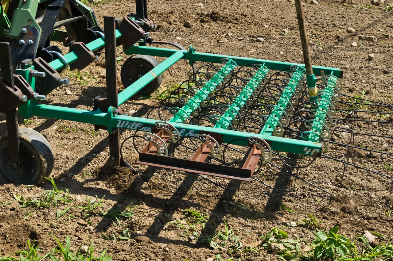 this implement is called a tine weeder.. it gets pulled behind the tractor when plants are super small, but their roots are established enough to hold in the ground when the tine weeder runs over it. We run it early when weeds are in a phase called the “thread bare stage” and it pulls most weeds out and continues to give the plants a jump on the weeds. We use this wherever we can to postpone all the hoe and hand weeding the team cleans up with when plants are more mature, photo by Adam Ford