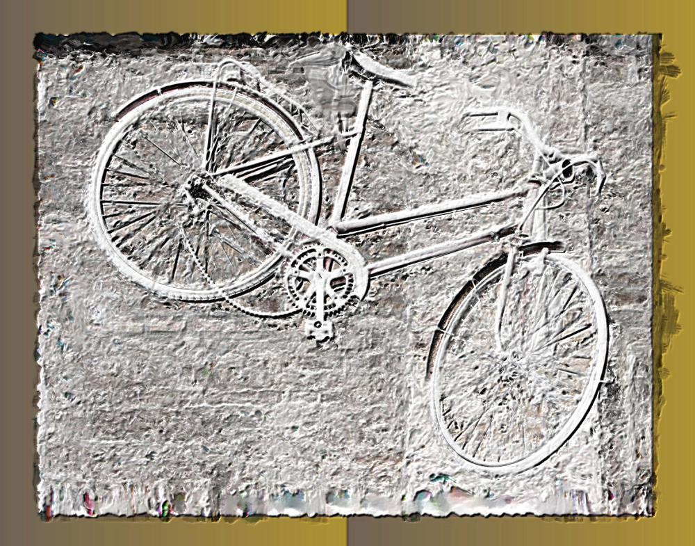marbled-bike.jpg