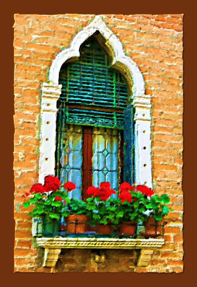 enjoying-flowers-in-your-window.jpg