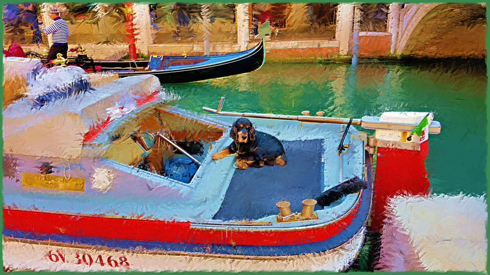a-dogos-life-in-venice.jpg
