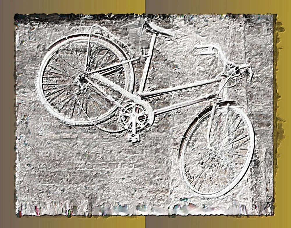 marbled-bike.jpg