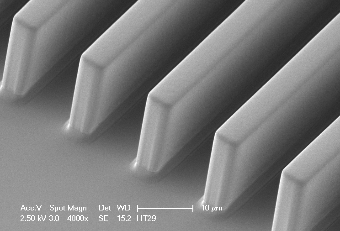 PDMS micro ridges