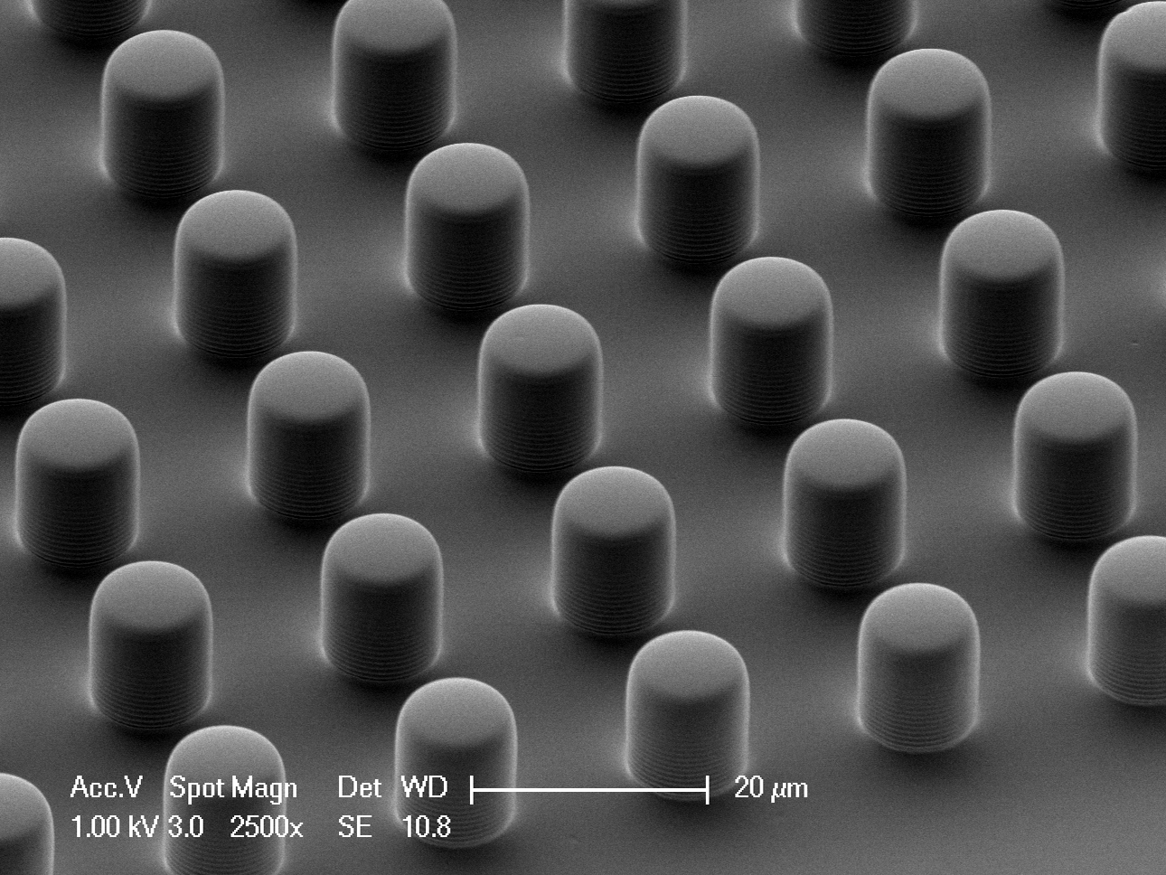 PDMS micro pillars
