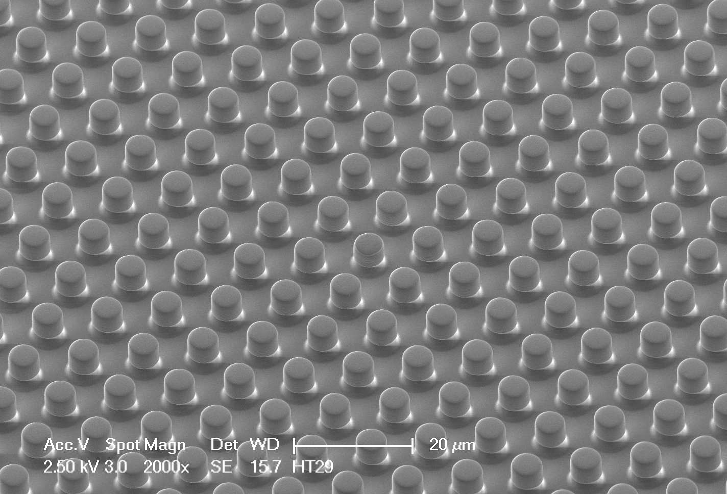 PDMS micro pillars
