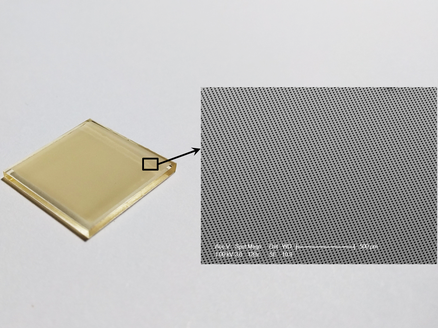 Typical Urethane Research Micro Stamp