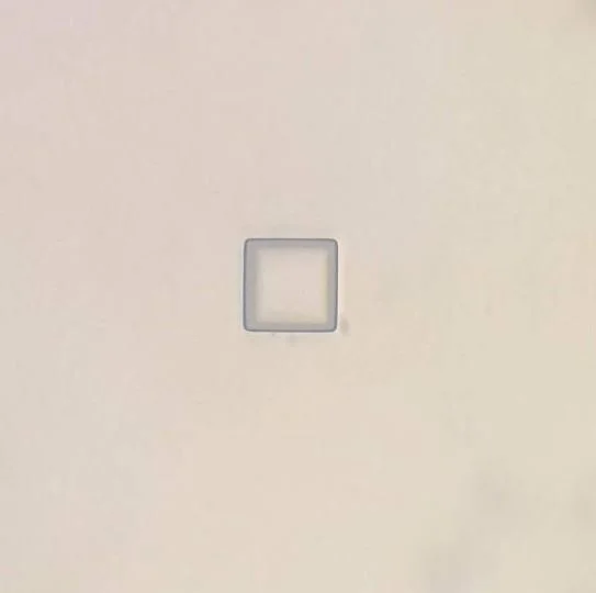 100um Wide Square Single Structure