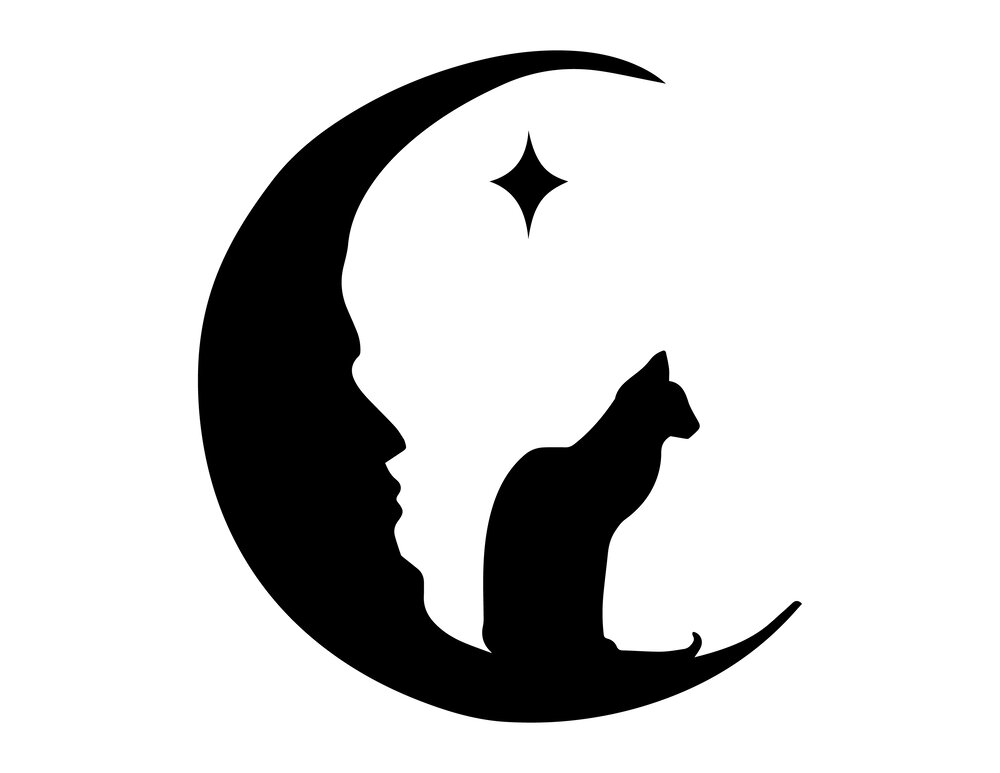 Bubbly Vibes-Cat On Moon DIY Stencil Painting Kit-Halloween DIY Stencils  Painting Kits