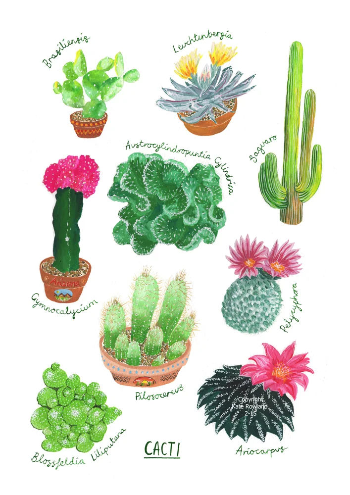 Cacti Print.jpg