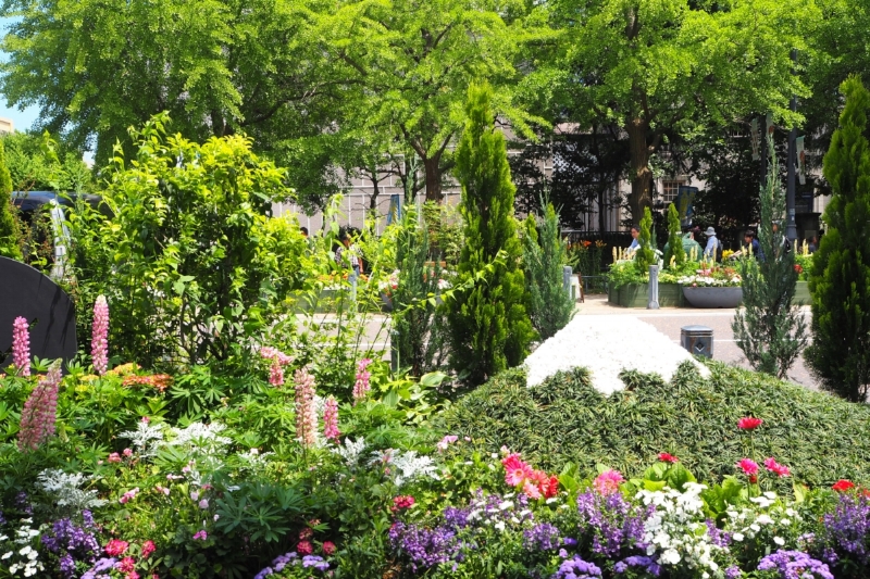 A Mt. Fuji themed miniature garden in Yokohama!