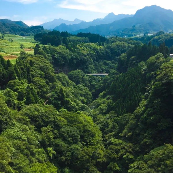 The views over Takachiho Gorge from Amaterasu Railway