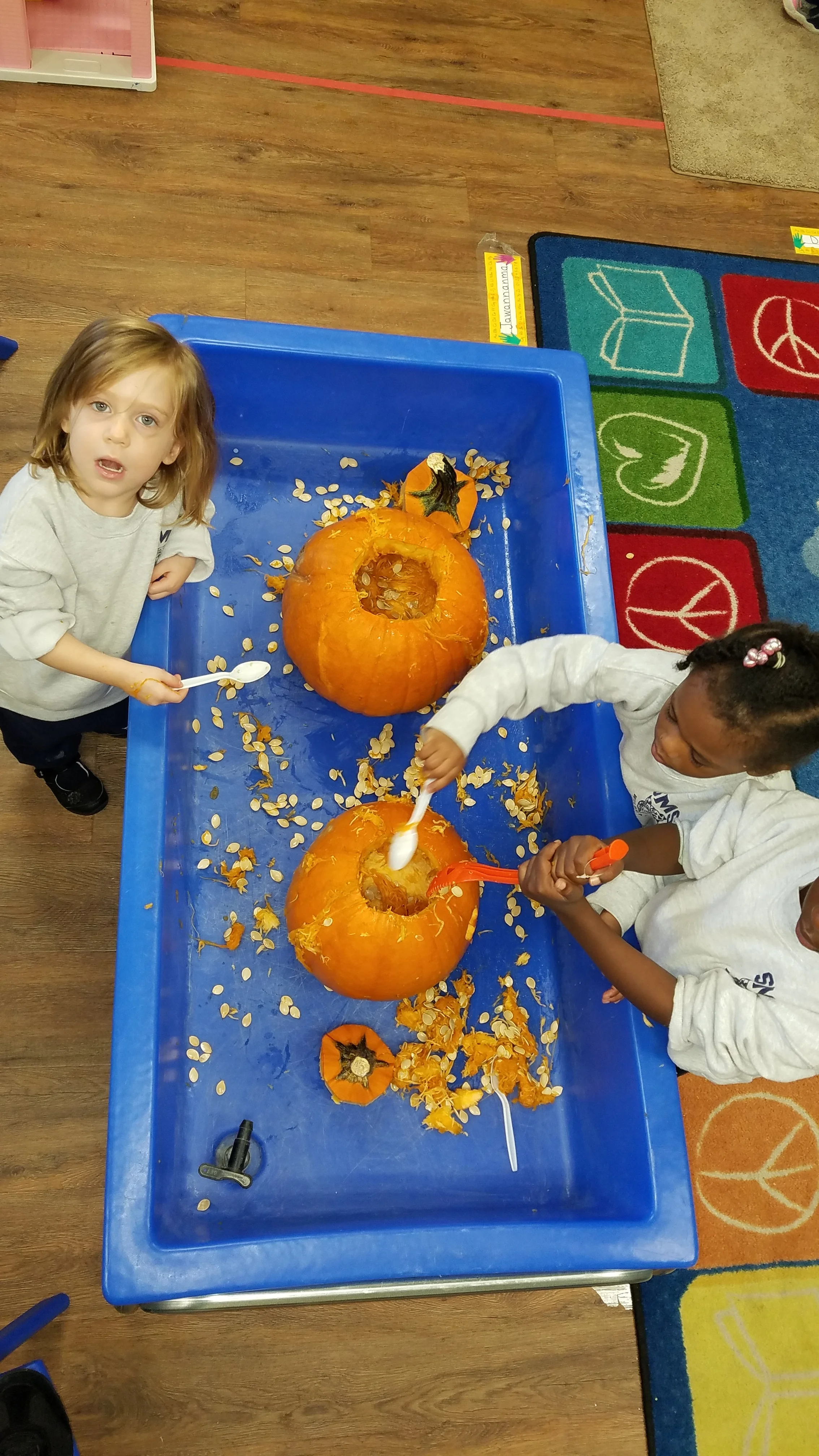 20181101_102745.jpg