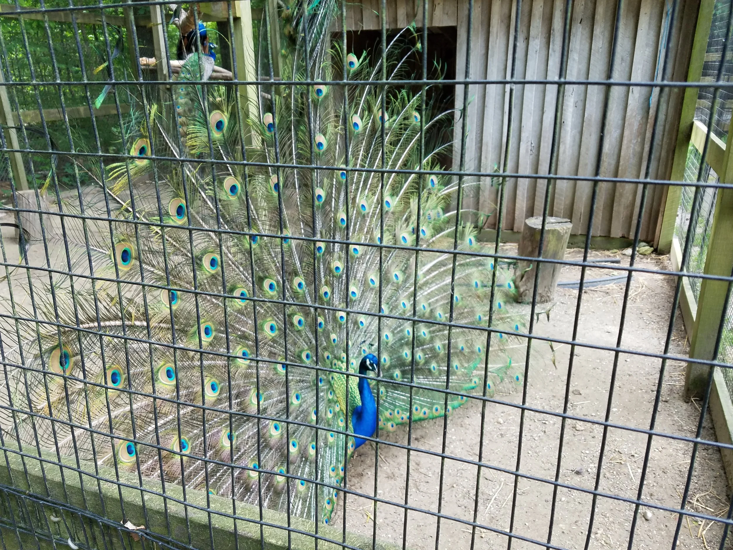 20190523_124342.jpg