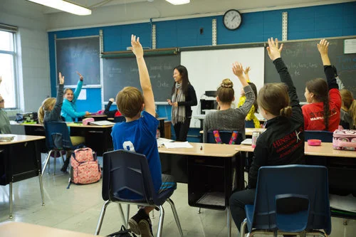 Vine Virtual Information Session |  December 15th, 2020