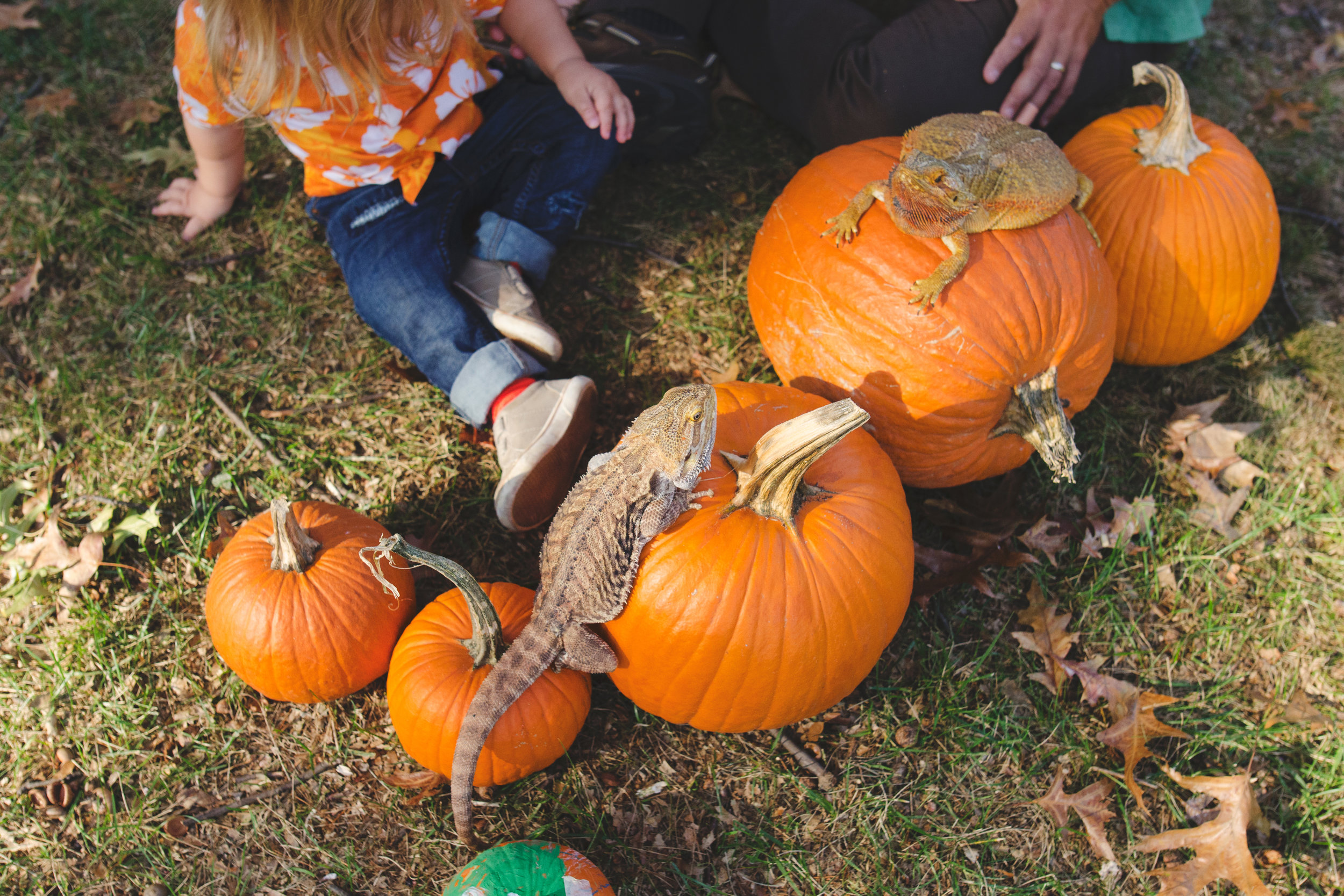 161030_ALH-52.jpg