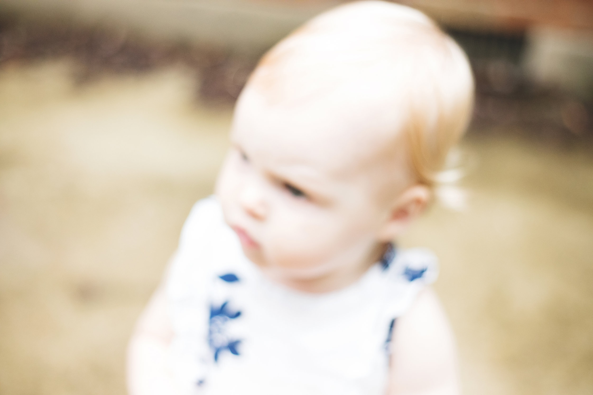 160605_ALH3823.jpg