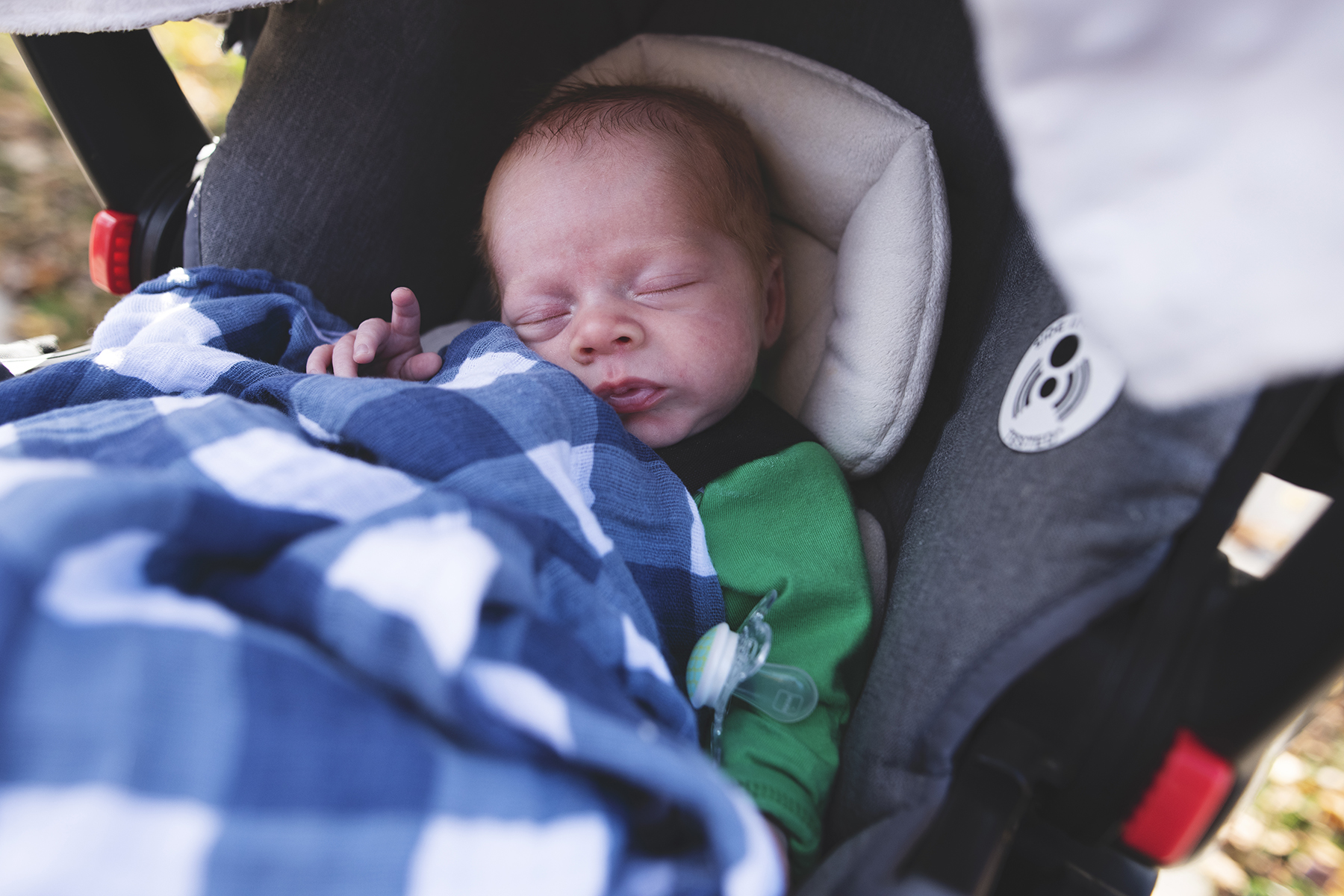 181104ALH_0096web.jpg