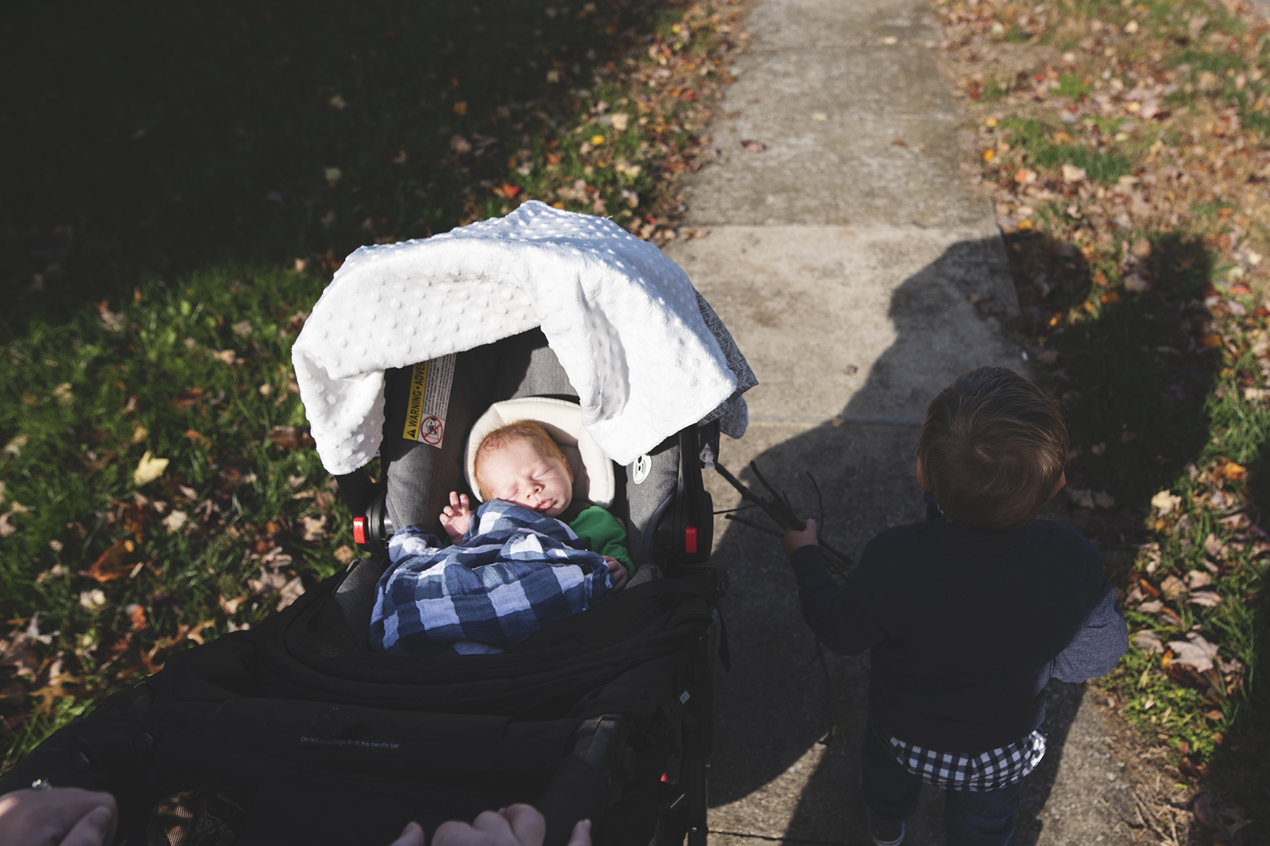181104ALH_0197web.jpg