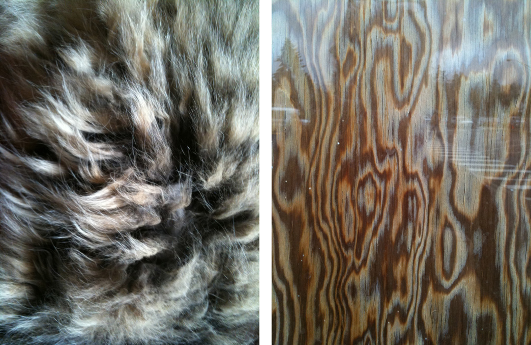 fur+wood.jpg