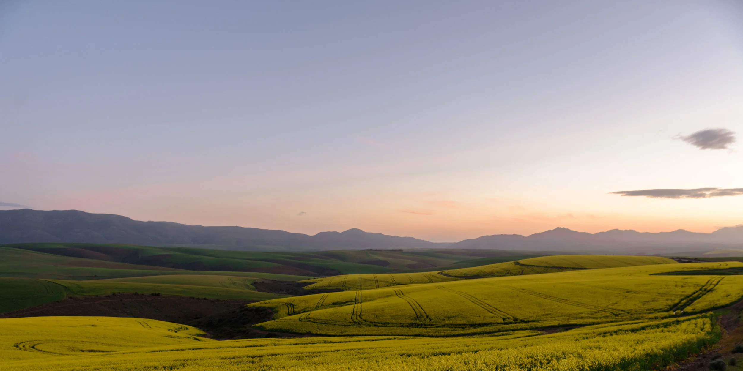 CAG_4949.jpg